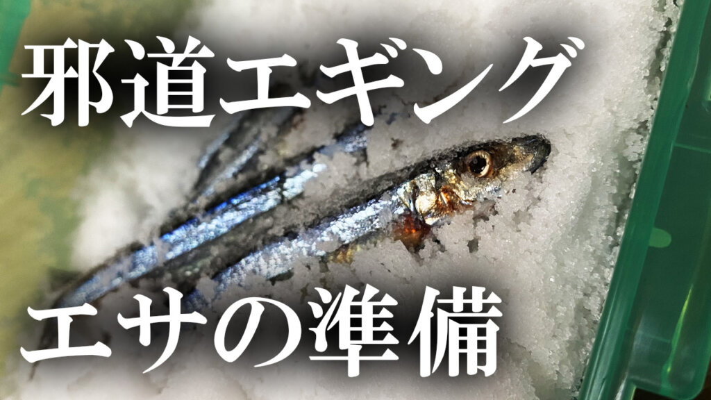 邪道エギのエサについて Hayaken Blog 邪道エギのエサについて Hayaken Blog